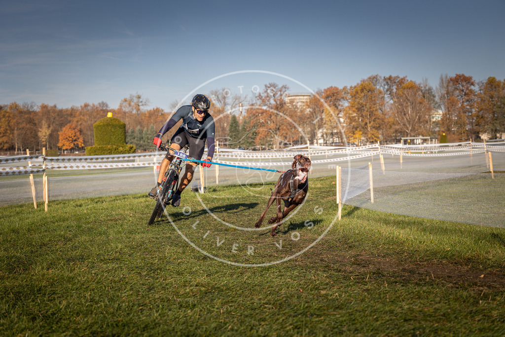 CaniXpix_0L8A4312 | Hundefotografie, Tierfotograf, Pfotenfotografie, Fotoshooting Hund, Hunde Portrait, Hundesport, Hundeportraits, Heideshooting, Hunde, Sportfotograf, Hundefotograf, Turnierhundsport, THS,  - Realisiert mit Pictrs.com