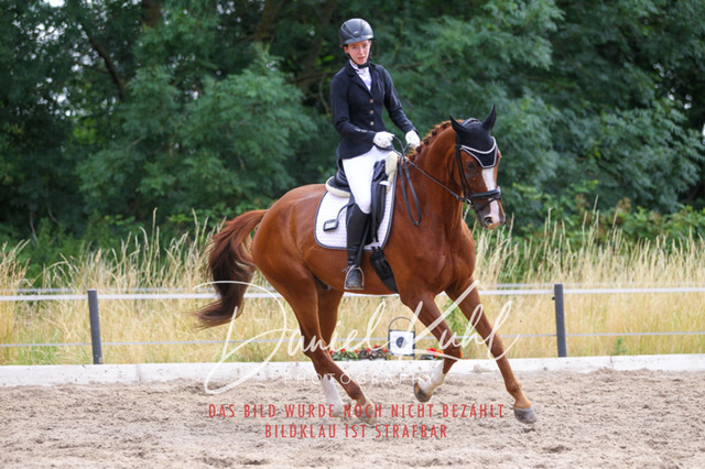 DKP45965 | Turniersportfotografie; Pferdefotografie; Dressurfotografie