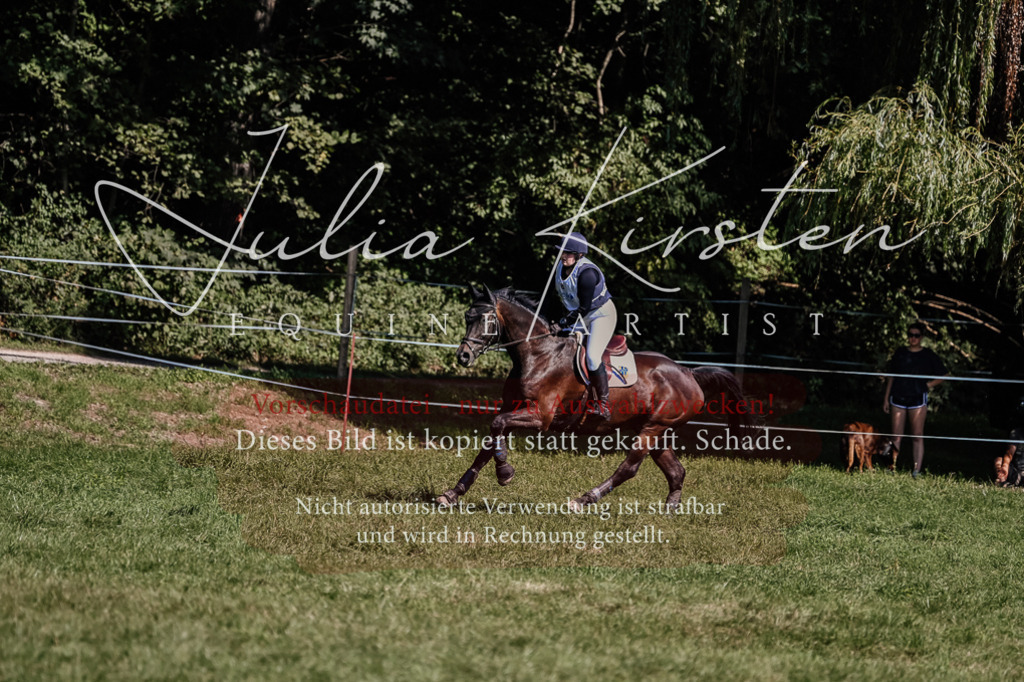 DSC_1606 | Pferde- und Turnierfotografie in Westsachsen. Pferdeportraits, Auftragszeichnungen und intuitive Kunst.