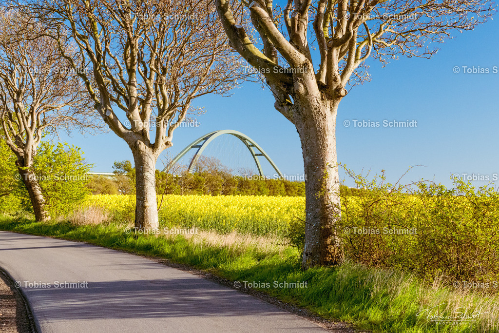 Fehmarn__DSC0236 | Fotoprodukte, Kalender und Wanddeko direkt vom Fotografen auf Fehmarn. Ob Wandbild auf Alu-Dibond, hinter Acrylglas oder auf Leinwand – hier können Sie Ihr Lieblingsbild kaufen. - Realisiert mit Pictrs.com