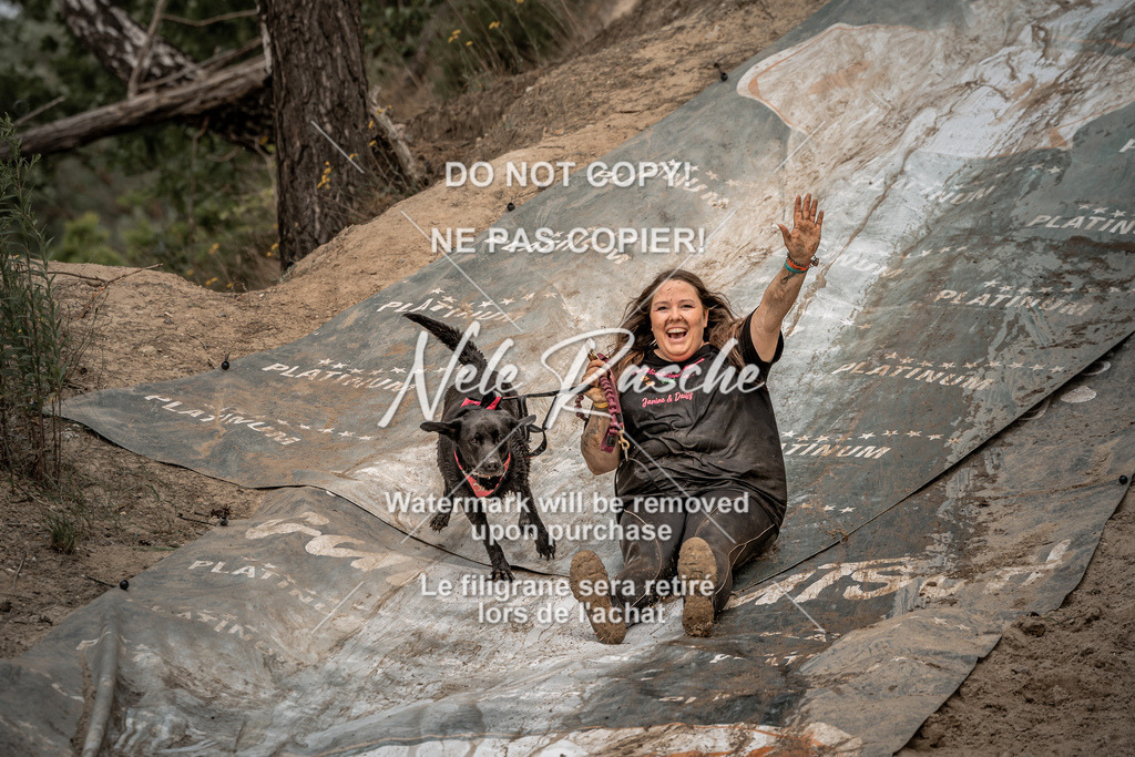 nelerasche_sa1300-1345_564 | nelerasche