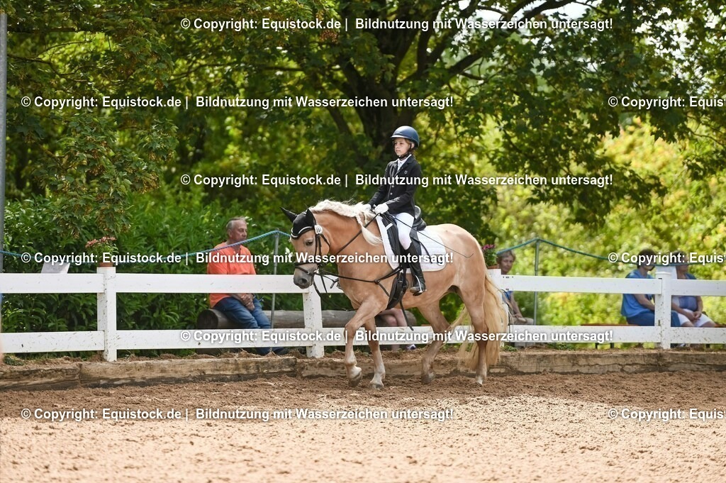 20230716_10-2_Reiter-WB Schritt - Trab - Galopp_0181 | equistock