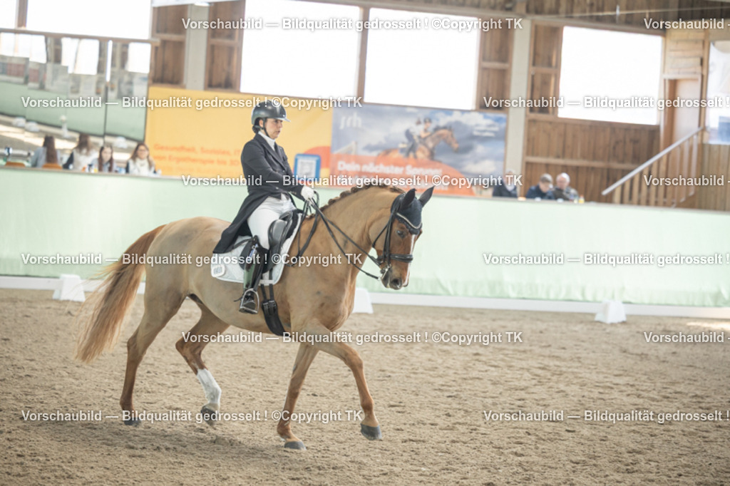 _D5A1328 | Emotionale Pferde- & People-Fotografie rund um Heidelberg, Leimen & Umgebung. Natürliche Fotos von Pferd, Mensch & Familie. Jetzt Termin sichern!