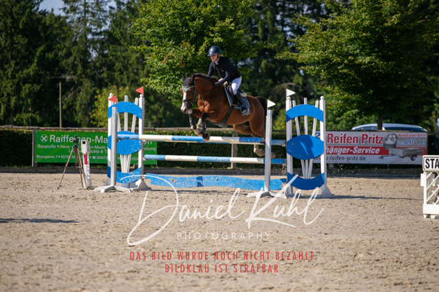 IMG_5350 | Turniersportfotografie; Pferdefotografie; Dressurfotografie