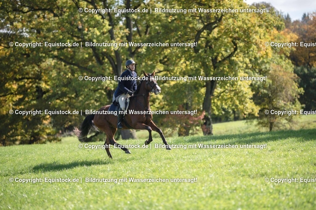 20251011_Jagd-Marbach_0414 | Foto: Thomas Hartig