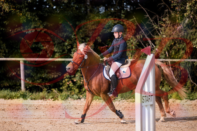 2026_10_03_Siefer-Hof_144723_Z81_24204497 | Professionelle Reitsport-, Turnier- und Eventfotografie von Robert Broda. Galerien mit ausgewählten und bearbeiteten Bildern direkt online ansehen und bestellen.