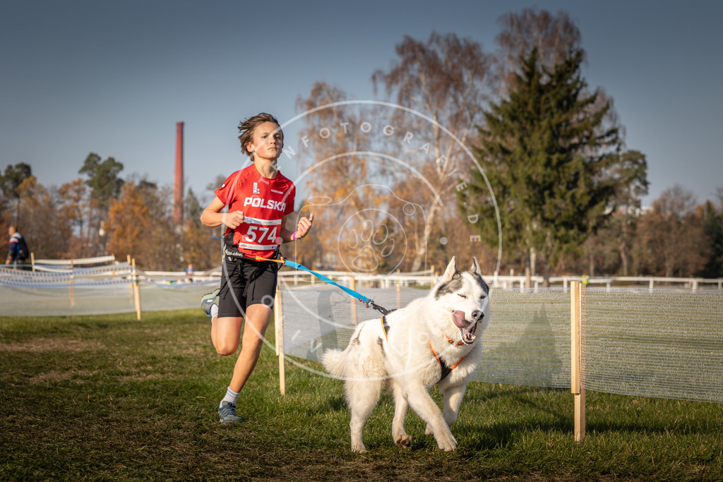 CaniXpix_0L8A9568 | Hundefotografie, Tierfotograf, Pfotenfotografie, Fotoshooting Hund, Hunde Portrait, Hundesport, Hundeportraits, Heideshooting, Hunde, Sportfotograf, Hundefotograf, Turnierhundsport, THS,  - Realisiert mit Pictrs.com