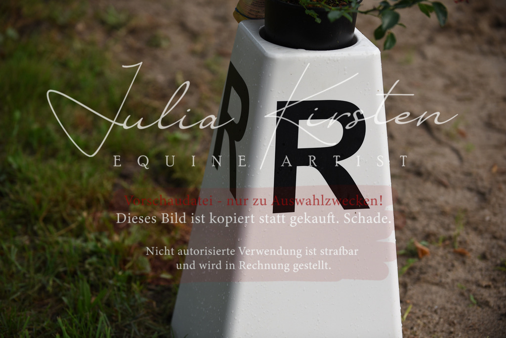 DSC_4217 | Pferde- und Turnierfotografie in Westsachsen. Pferdeportraits, Auftragszeichnungen und intuitive Kunst.