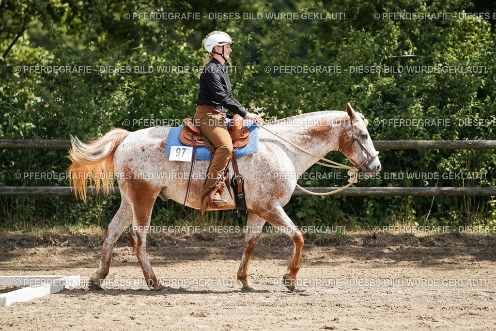 DSC06407 | Pferdegrafie