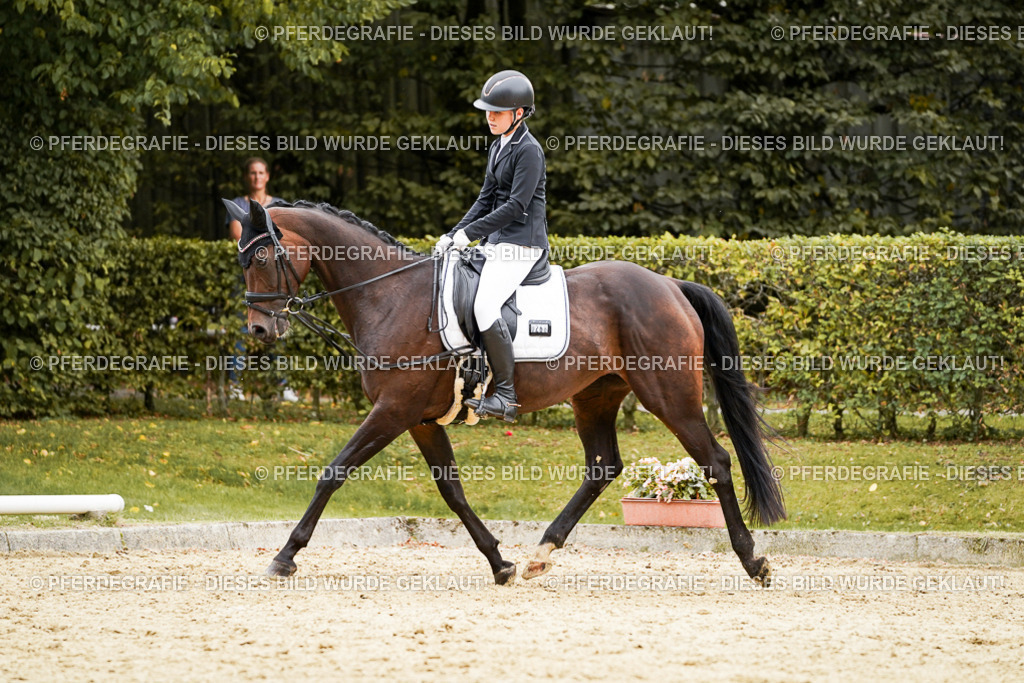 DSC00103 | Pferdegrafie