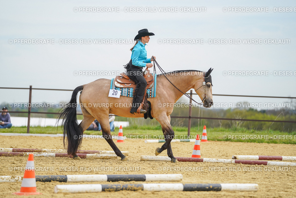 DSC03390 | Pferdegrafie