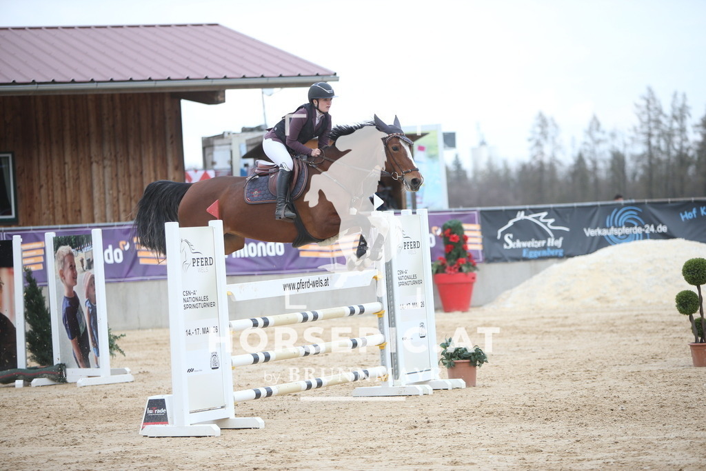 AS8V8152 | Willkommen bei Brunnmayr - Design & Fotografie – Ihrem Spezialisten für Reitturniere und Pferdeveranstaltungen in Oberösterreich, Salzburg und Bayern! Seit über 17 Jahren sind wir leidenschaftlich dabei.