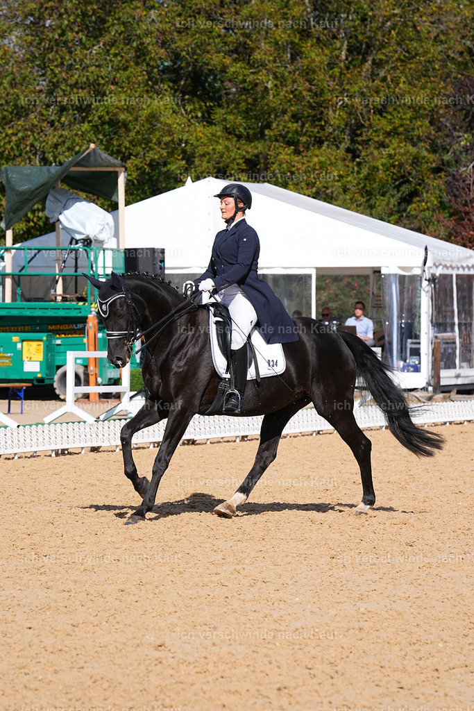09_2-034-DRESSUR  S_  -Marixx-5959 | working equitationturnier fotograf videograf stoibphotography marixx film working equitation deutschland reitsport turnierfotografie eventfotografie equestrian events