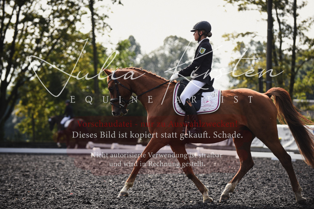 DSC_3595 | Pferde- und Turnierfotografie in Westsachsen. Pferdeportraits, Auftragszeichnungen und intuitive Kunst.