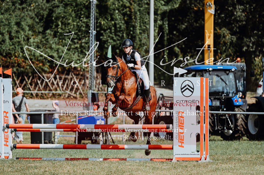 DSC_9434 | Pferde- und Turnierfotografie in Westsachsen. Pferdeportraits, Auftragszeichnungen und intuitive Kunst.