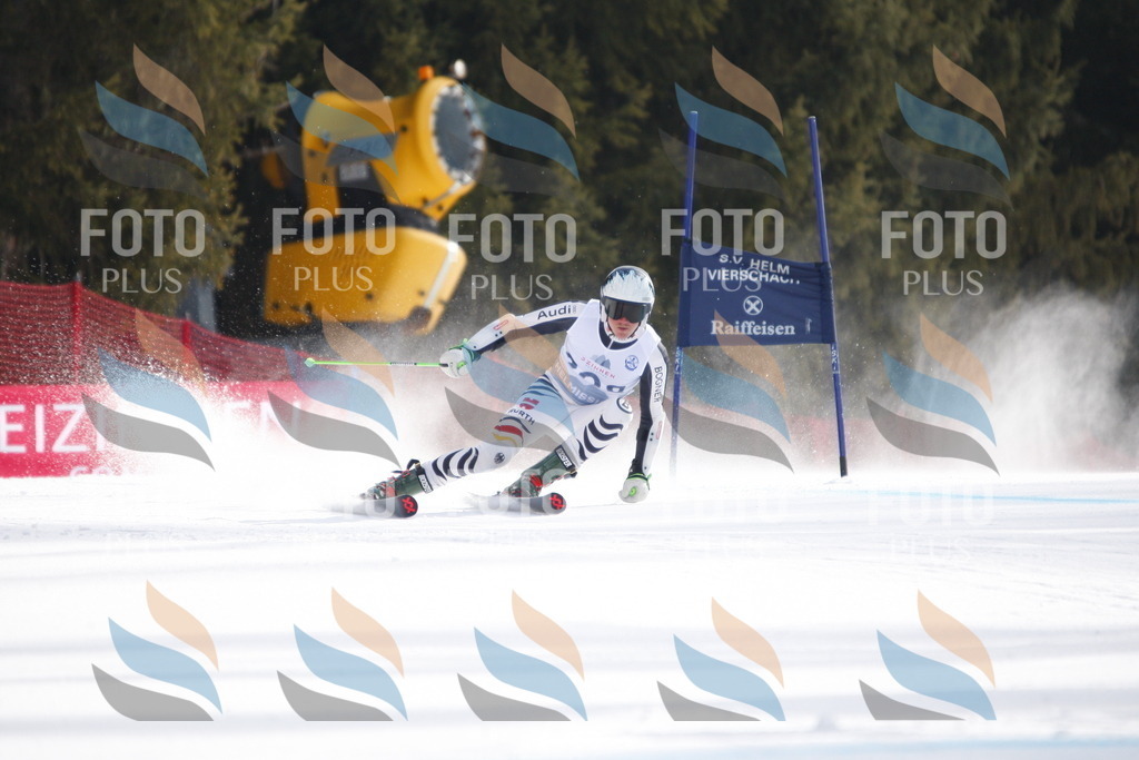 D8164 | holidayphoto