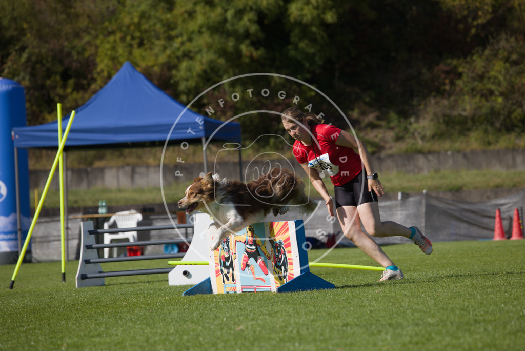 0L8A8782 | Hundefotografie, Tierfotograf, Pfotenfotografie, Fotoshooting Hund, Hunde Portrait, Hundesport, Hundeportraits, Heideshooting, Hunde, Sportfotograf, Hundefotograf, Turnierhundsport, THS,  - Realisiert mit Pictrs.com