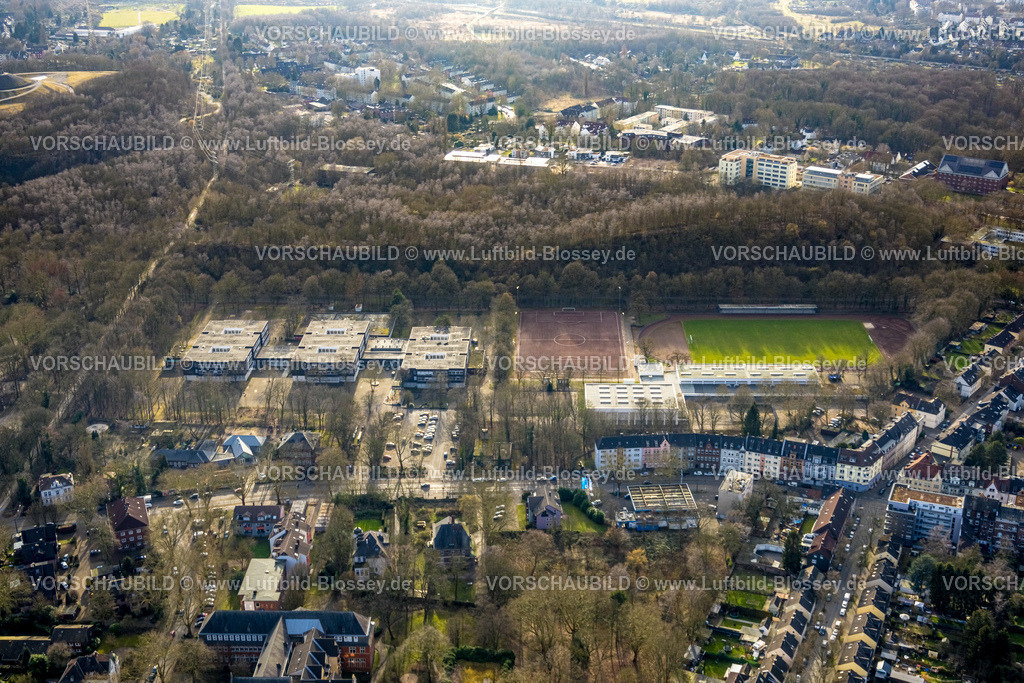Gelsenkirchen250203063Sued | Luftbild, Gesamtschule Gelsenkirchen Ückendorf, Sportplatz Fußballstadion Sportverein DJK Arminia Ückendorf 1910 e.V. und FC Zrinski 1975 e.V. , am Waldgebiet, Ückendorf, Gelsenkirchen, Ruhrgebiet, Nordrhein-Westfalen, Deutschland
