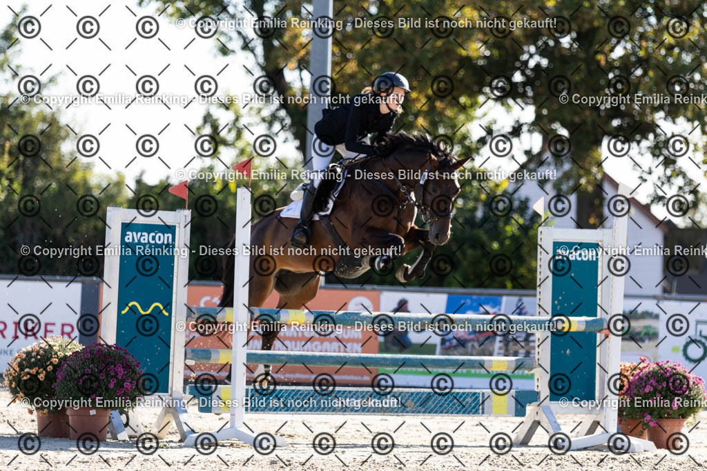 CL5A1241 | Emilia Reinking Fotografie - Realisiert mit Pictrs.com