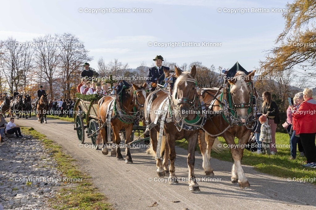 LBT24-1176 | foto-bettina-krinner - Realisiert mit Pictrs.com