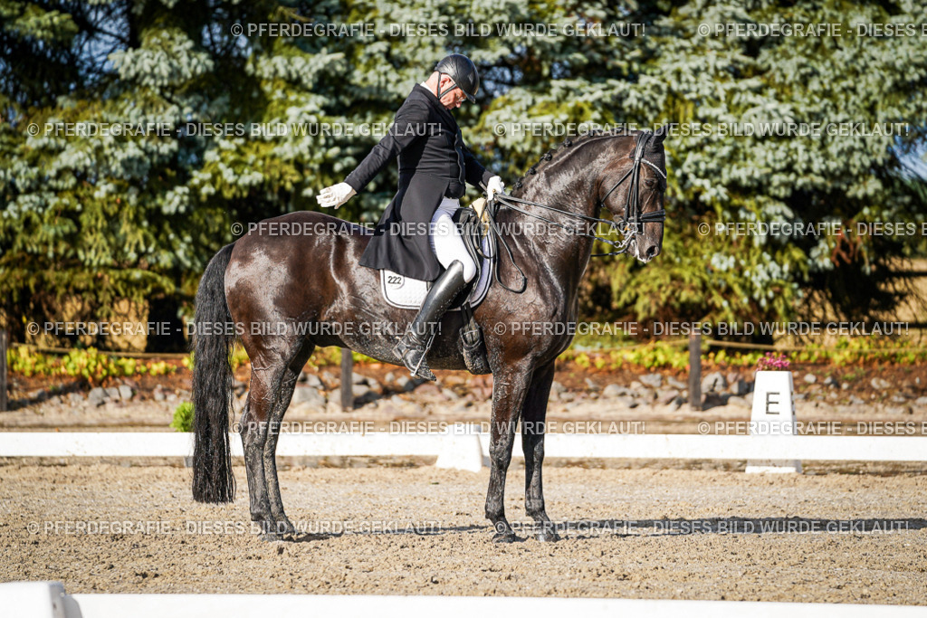 DSC00854 | Pferdegrafie