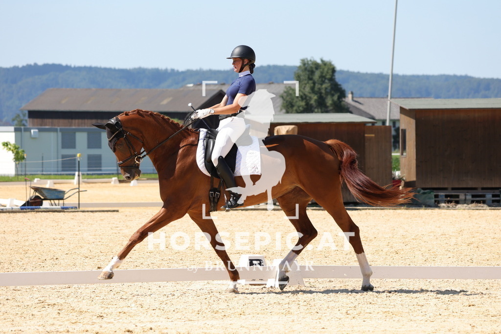0P6A9100 | Willkommen bei Brunnmayr - Design & Fotografie – Ihrem Spezialisten für Reitturniere und Pferdeveranstaltungen in Oberösterreich, Salzburg und Bayern! Seit über 17 Jahren sind wir leidenschaftlich dabei.
