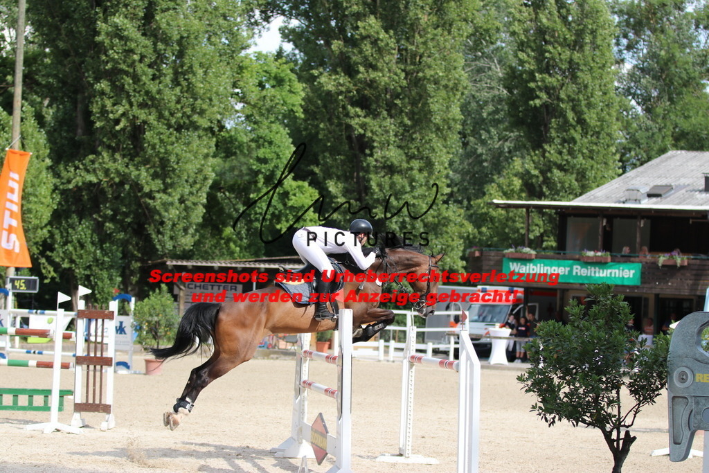 IMG_0778 | lmwpictures - Realisiert mit Pictrs.com