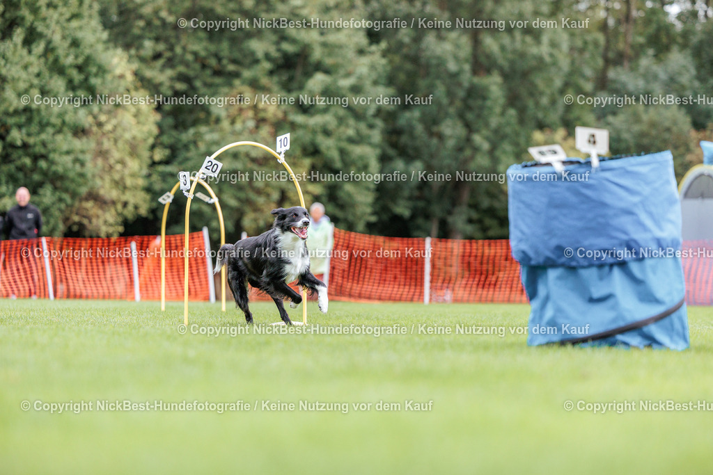 BSP Hoopers-H2 Tag2-2026-Nickbest-Hundefotografie-TuS Komet Arsten e.V.-8024 | Dein Hund! Dein Moment! Deine Erinnerungen! Hundefotografie in Bremen Blumenthal. Ich fange die besonderen Momente deines Vierbeiners ein – ob Indoor mit Blitzanlage oder in der freien Natur. Sicher dir dein Moment und dein Termin für eure Erinnerungen.