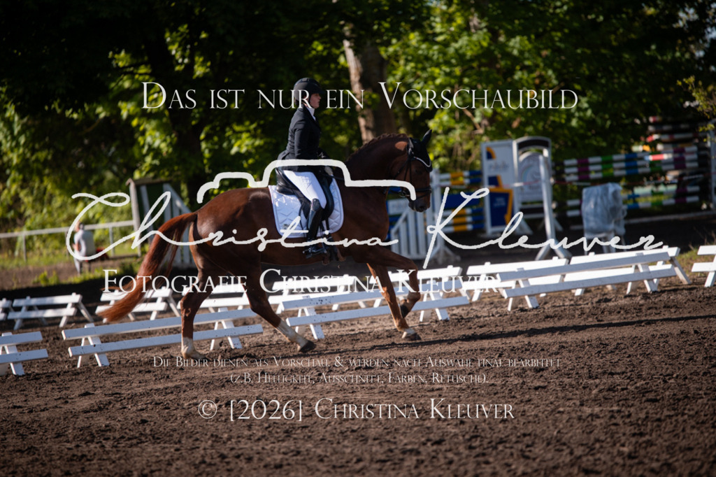 DSC_6520 | Christina-Kleuver