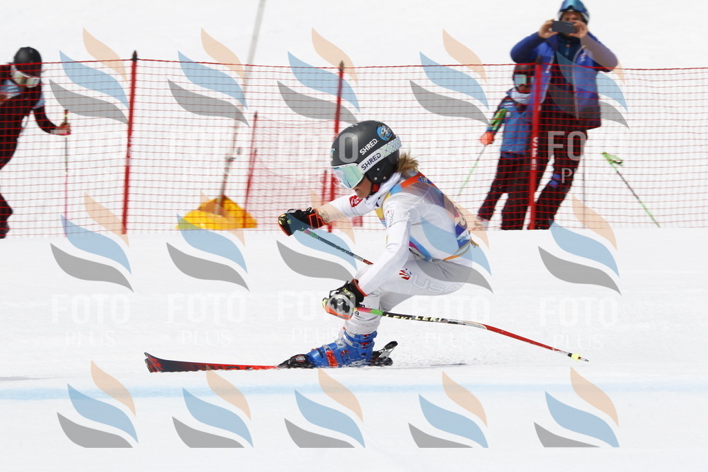 _U3G7580 | holidayphoto