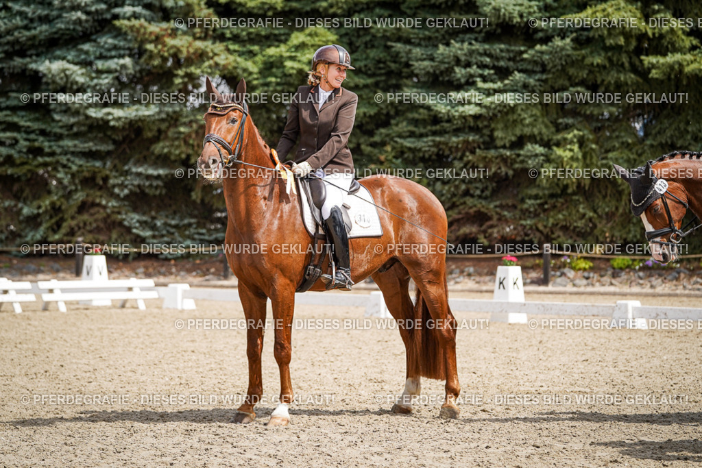 DSC09667 | Pferdegrafie