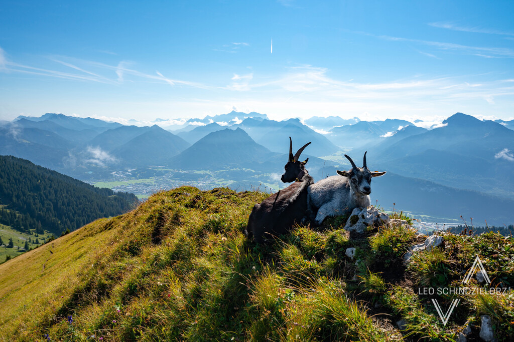 Fotografie_Leo_Schindzielorz_AT_Herbst_Tirol_Gehrenspitze_20210912_A7R04838_org | Atmosphärische Landschaftsbilder & Drohnenaufnahmen aus dem Allgäu, Tirol, Südtirol & der Schweiz – ideal für Leinwanddrucke & zur stilvollen Raumgestaltung. - Realisiert mit Pictrs.com