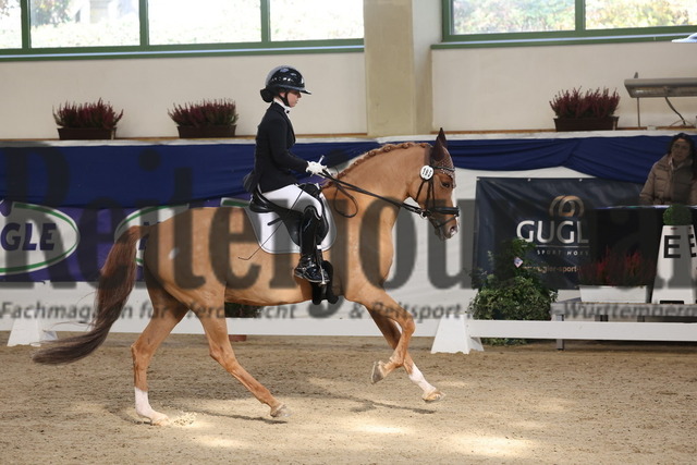 Ising_2025_Prfg.Nr.20_Pony-Dressurprfg.Kl.L_Kür_Lakeysha Eiselt_Crown Wishing Well (4) | Alle Fotos der Reiterjournal Fotografin Doris Matthaes im Reiterjournal Online-Fotoshop. - Realisiert mit Pictrs.com