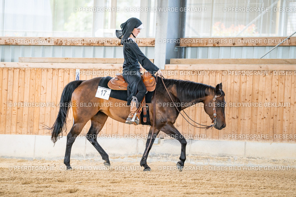 DSC04695 | Pferdegrafie