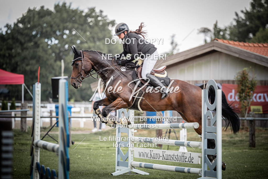 nelerasche_SprA__100Ede_25 | nelerasche