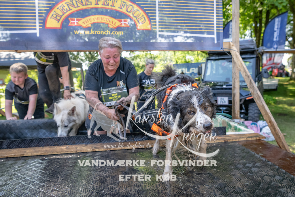 1426_ZZ94145 | kk-dogfotos