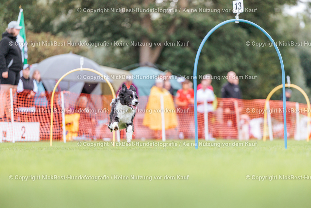 BSP Hoopers-H2-2026-Nickbest-Hundefotografie-TuS Komet Arsten e.V.-4326 | Dein Hund! Dein Moment! Deine Erinnerungen! Hundefotografie in Bremen Blumenthal. Ich fange die besonderen Momente deines Vierbeiners ein – ob Indoor mit Blitzanlage oder in der freien Natur. Sicher dir dein Moment und dein Termin für eure Erinnerungen.