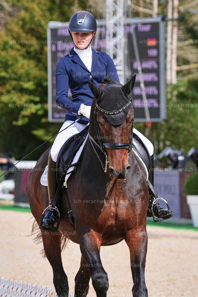05-109-DRESSUR M_  -Marixx-4975 | working equitationturnier fotograf videograf stoibphotography marixx film working equitation deutschland reitsport turnierfotografie eventfotografie equestrian events