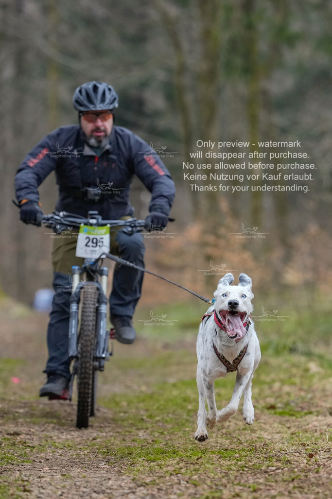 BikekurzSa-61 | stephaniefillaphotographie - Realisiert mit Pictrs.com