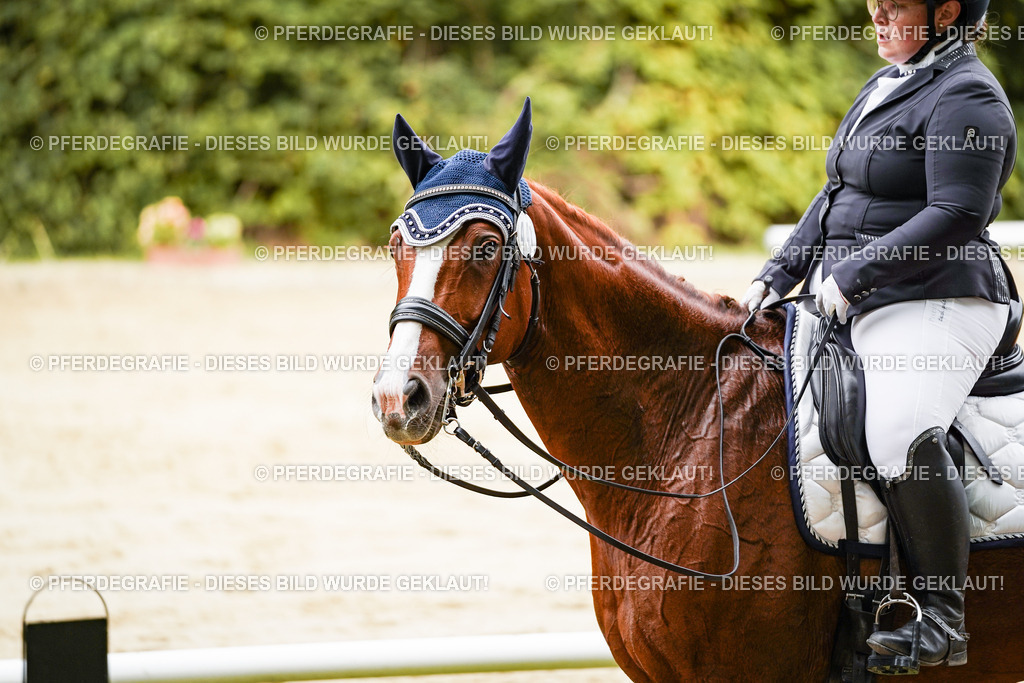 DSC03361 | Pferdegrafie