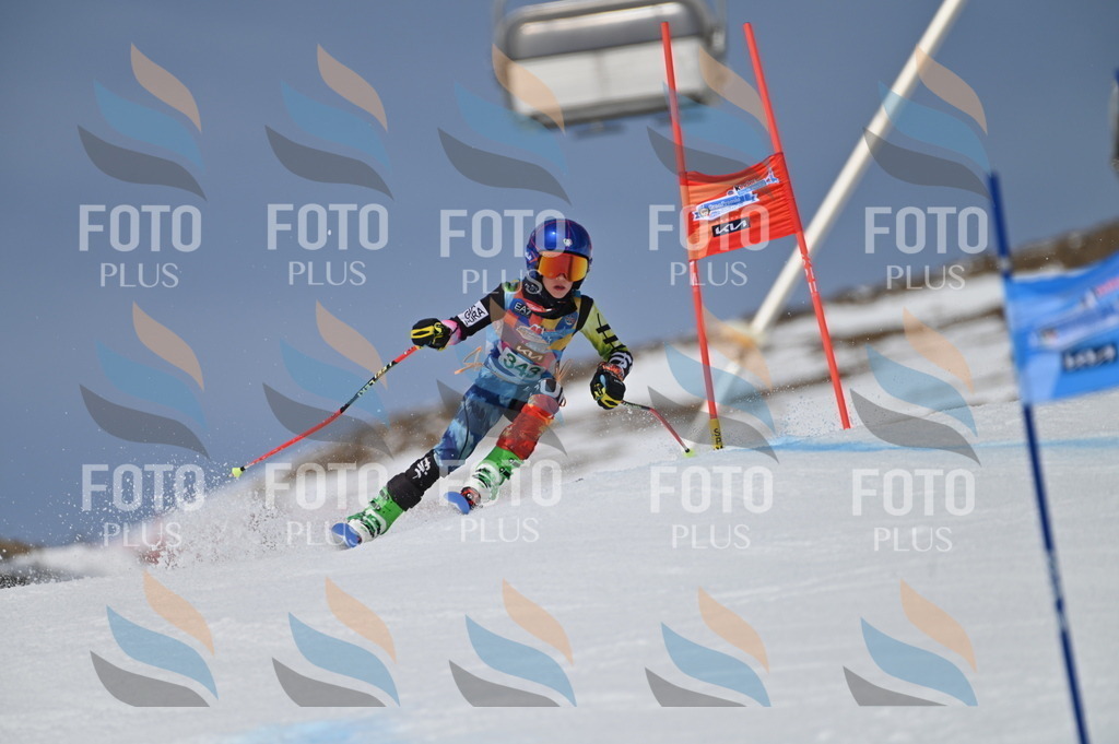 BGV_6812 | holidayphoto