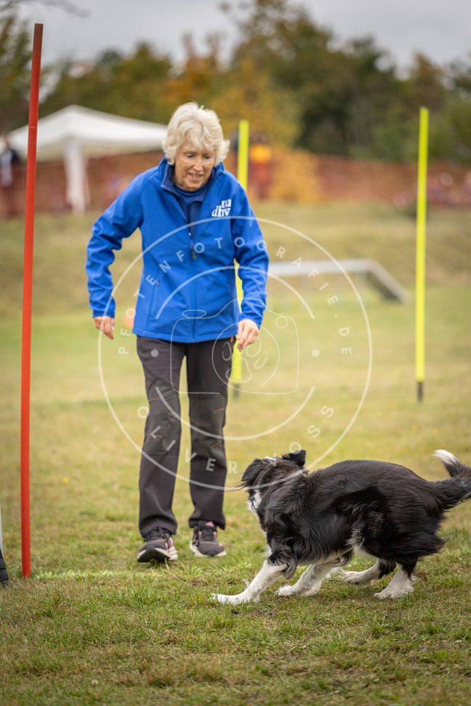 Pfotenfotografie_DV3A5293 | Hundefotografie, Tierfotograf, Pfotenfotografie, Fotoshooting Hund, Hunde Portrait, Hundesport, Hundeportraits, Heideshooting, Hunde, Sportfotograf, Hundefotograf, Turnierhundsport, THS,  - Realisiert mit Pictrs.com