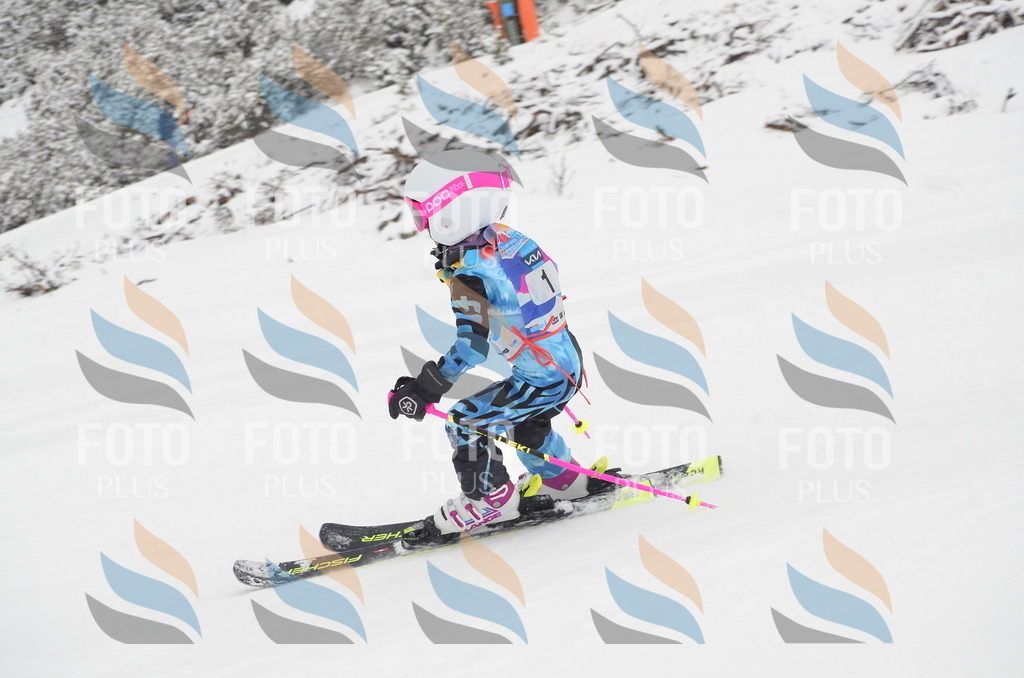 C0518 | holidayphoto