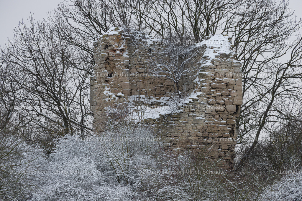 10049-13560 - Winterliche Paulskopfwarte im Huy | Stockfoto und Bilderpool mit Bildmaterial aus Deutschland, dem Harz, Halberstadt, Quedlinburg, Wernigerode und weltweit. Qualitativ hochwertige und professionelle Fotos anschauen und kaufen. - Realisiert mit Pictrs.com