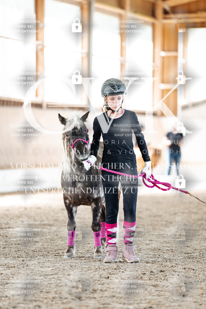 CK907082 | Turnierfotografie Pferdefotografie Trier Rheinland-Pfalz Pferdesport Reitsport Tierfotografie Sportfotografie Pferdevideo Pferdevideografie Equestrianvideography equestrianphotography  - Realisiert mit Pictrs.com