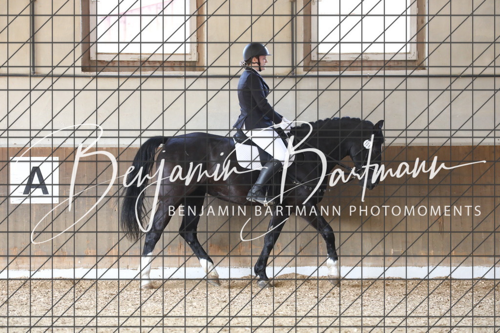 AZ2A9194 | Benjamin Bartmann Photomoments