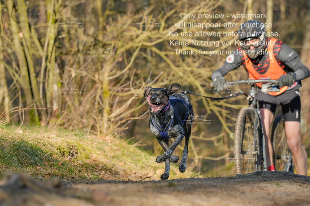 Sa_Scooter-138 | stephaniefillaphotographie - Realisiert mit Pictrs.com