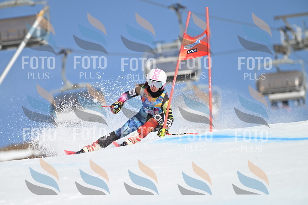 BGV_8583 | holidayphoto