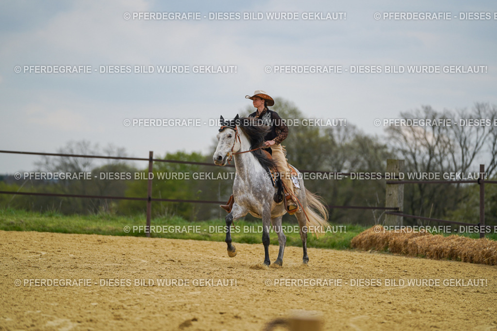 DSC07334 | Pferdegrafie