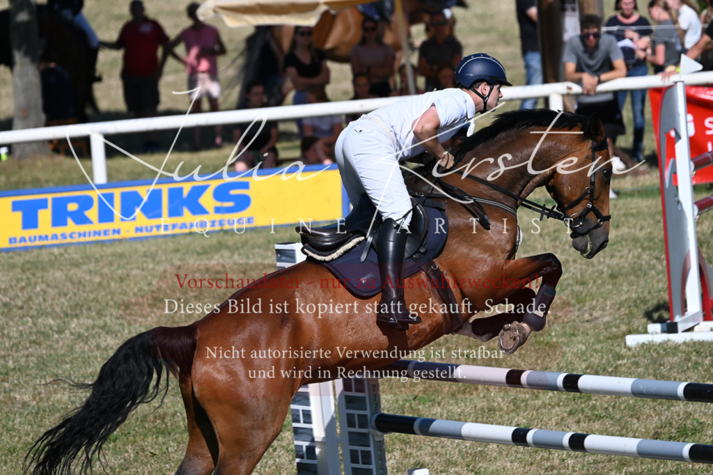 DSC_2177 | Pferde- und Turnierfotografie in Westsachsen. Pferdeportraits, Auftragszeichnungen und intuitive Kunst.